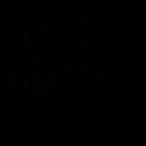 Meet your Posher, Sophia